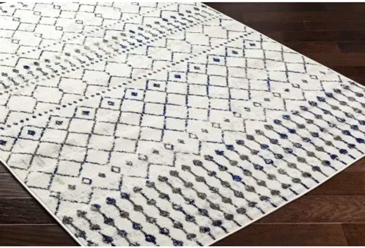 Pisa PSS-2367 5' x 7' Machine Woven Rug