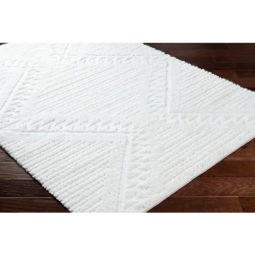 Nomadic 5'3" x 7' Machine Woven Rug