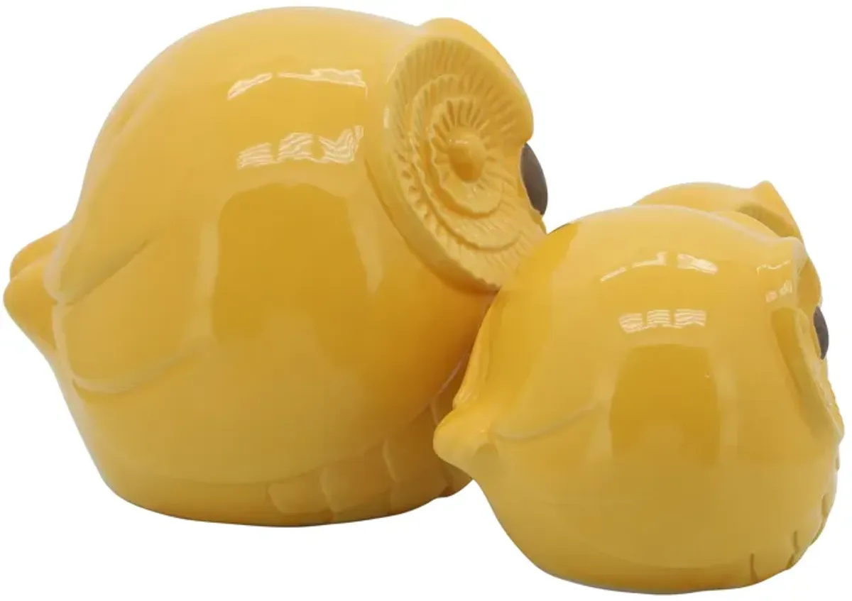 Cer S/3 Owls 7.5", Yellow