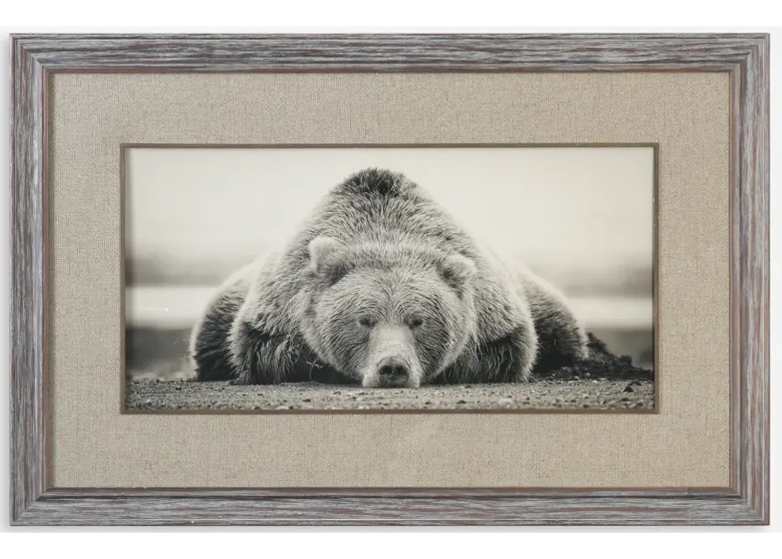 Deep Sleep Bear Print