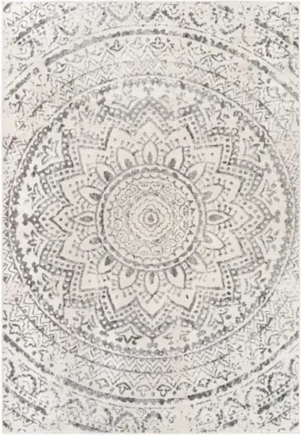 Pisa 5' x 7' Rug