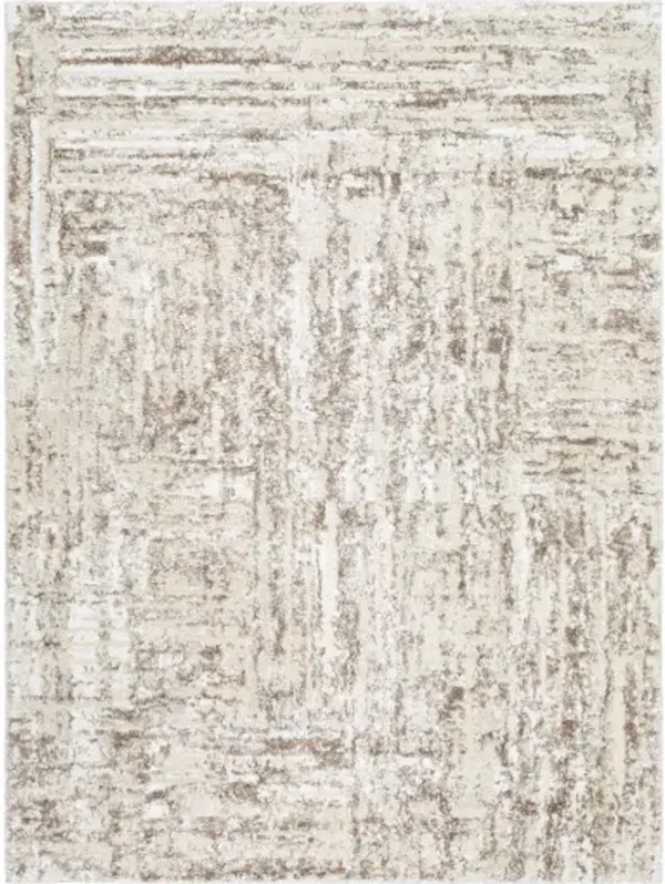 Andorra Plus ARP-2303 7'10" x 10' Machine Woven Rug