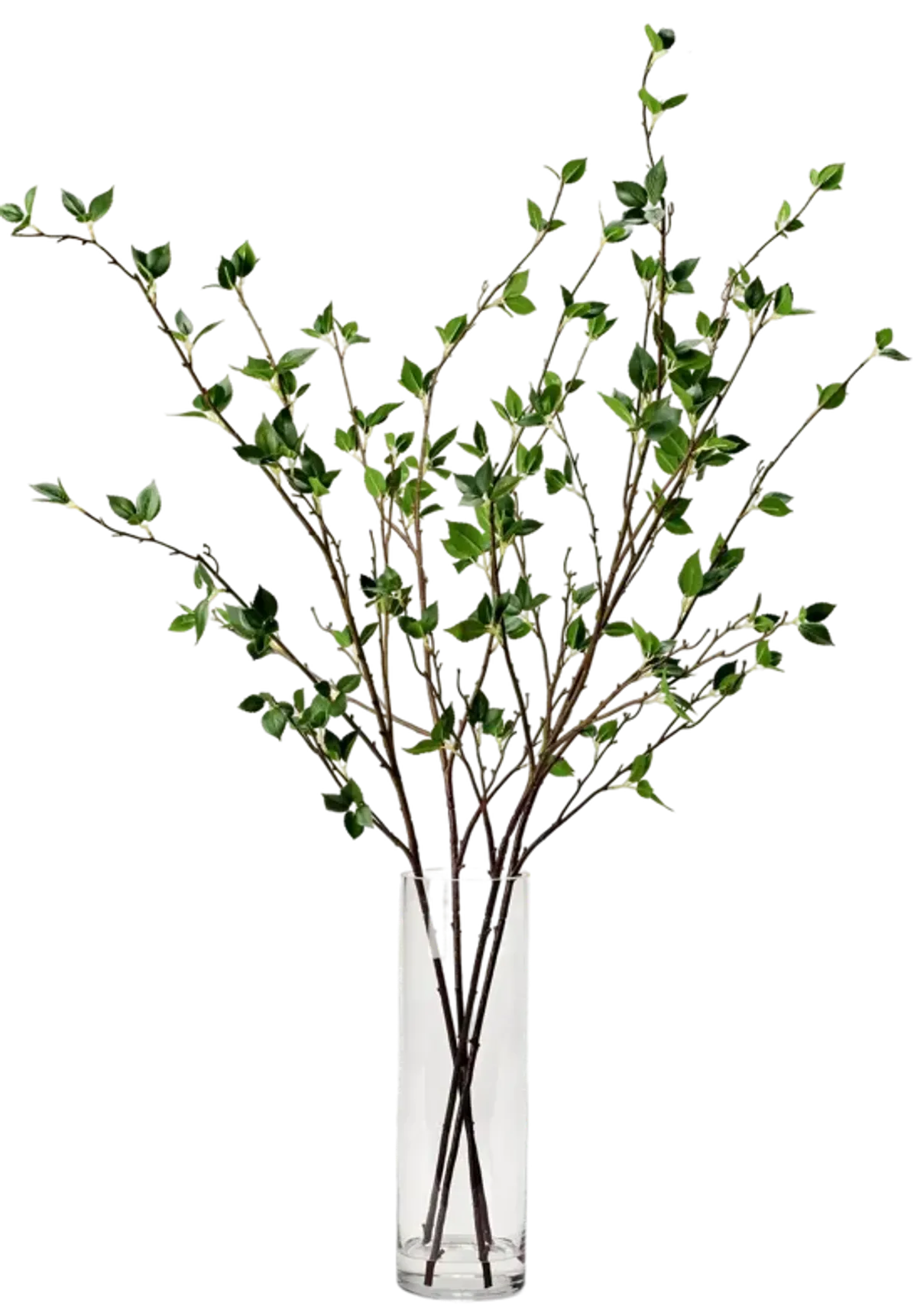 Real Touch Cherry Leaf Branches in Glass Vase