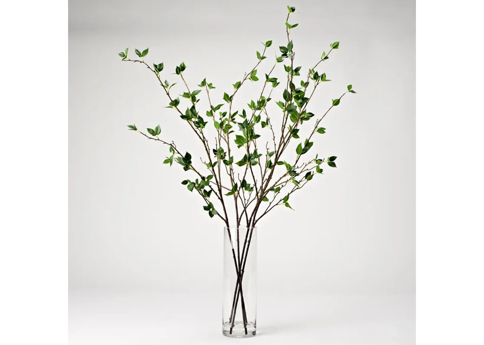 Real Touch Cherry Leaf Branches in Glass Vase