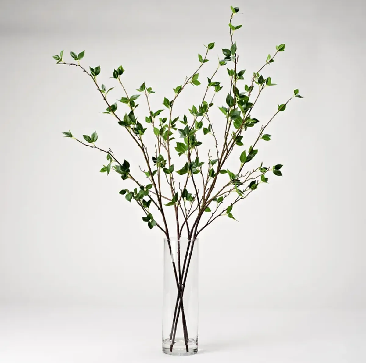 Real Touch Cherry Leaf Branches in Glass Vase