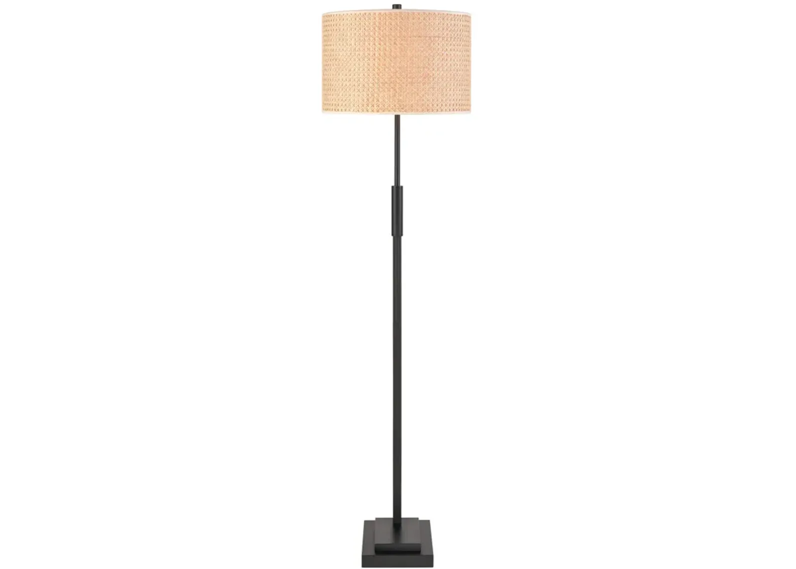 Baitz 62.5'' High 1-Light Floor Lamp - Matte Black