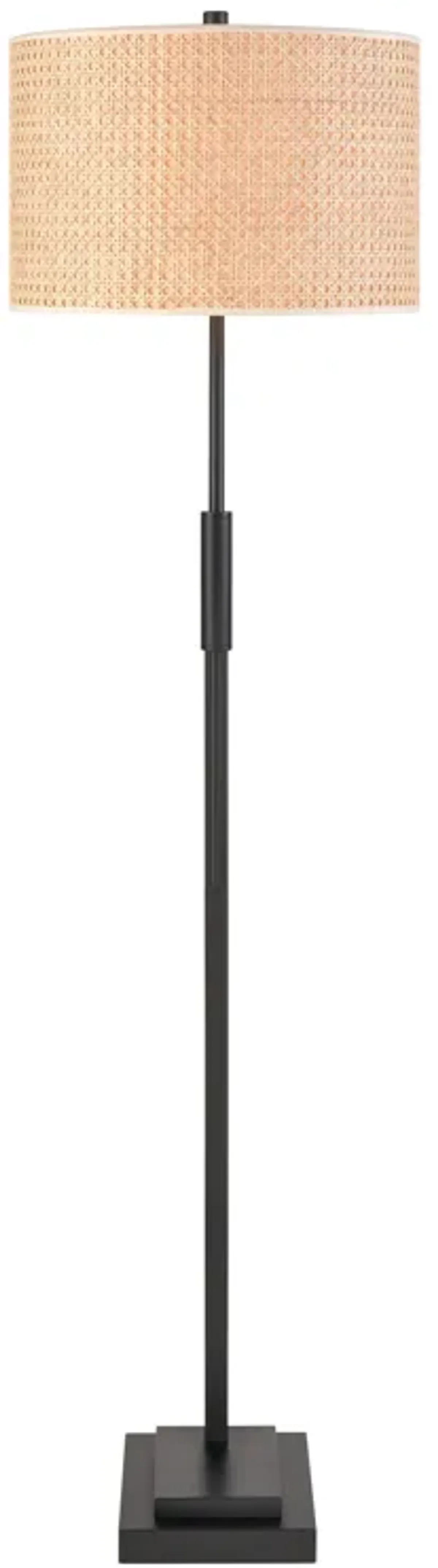 Baitz 62.5'' High 1-Light Floor Lamp - Matte Black