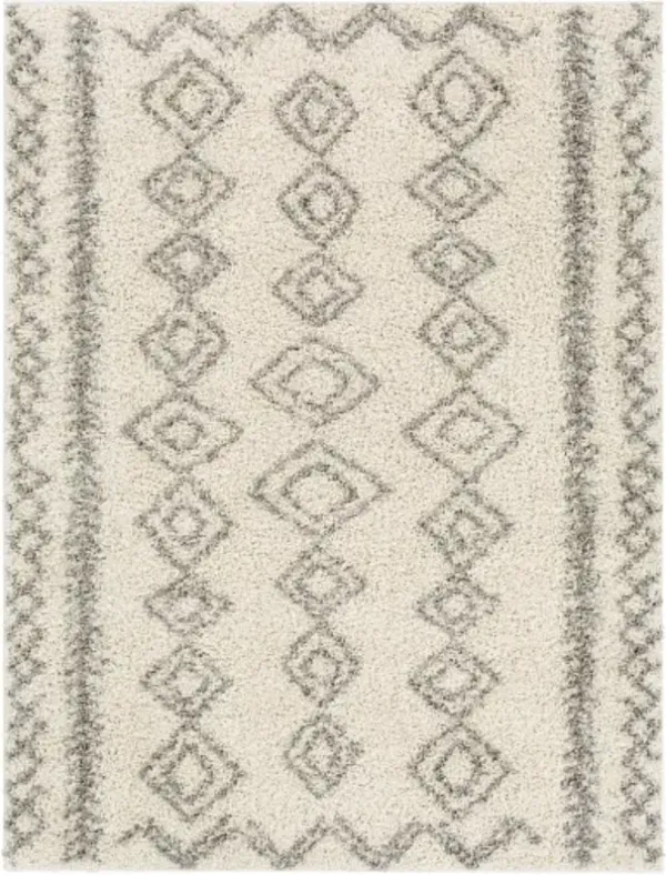 Taza shag 7'10" x 10' Rug