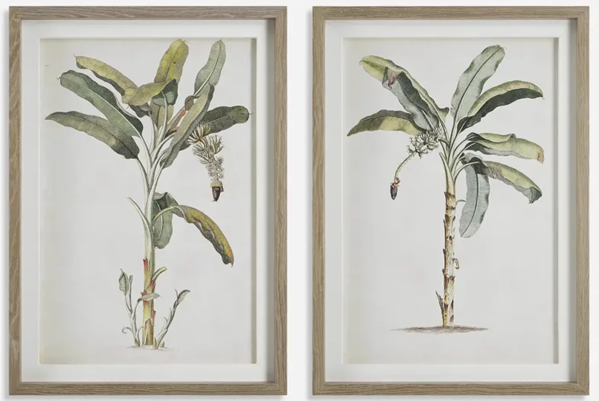 Banana Palm Framed Prints, Set/2