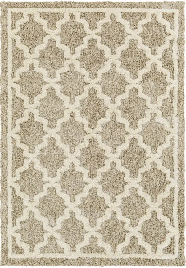 Florida FLD-2302 5'3" x 7' Machine Woven Rug