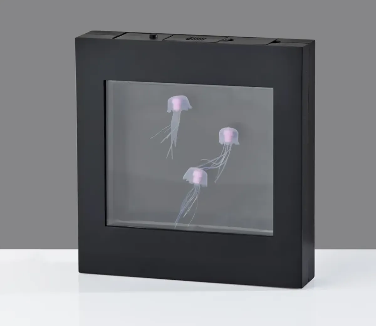 Jellyfish Motion Light Box