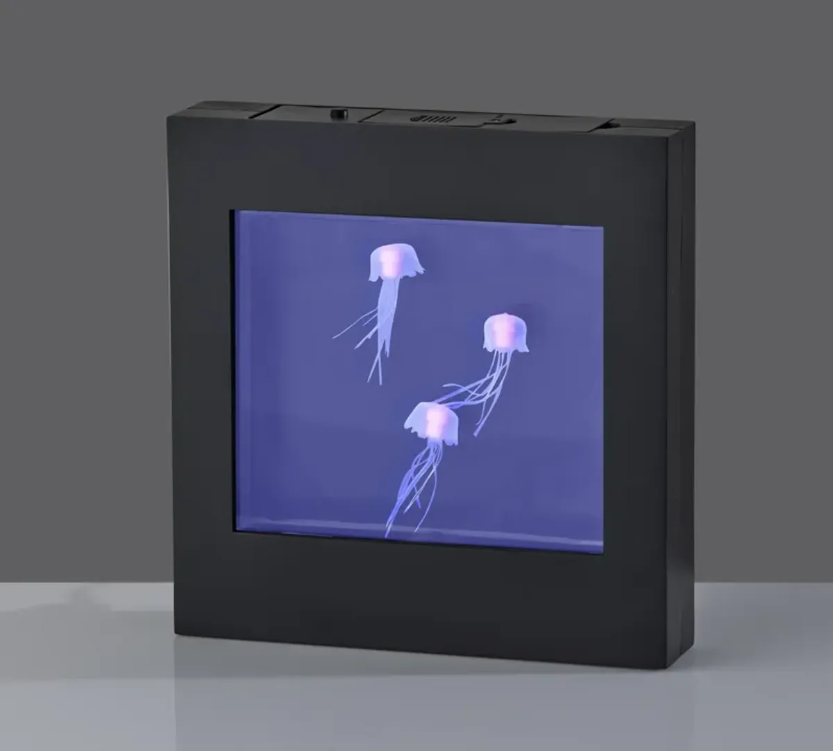 Jellyfish Motion Light Box