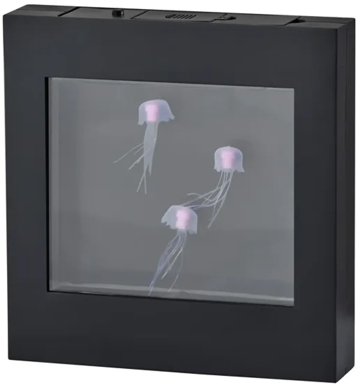 Jellyfish Motion Light Box