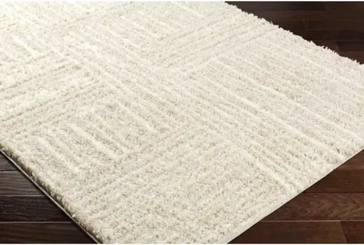 Everton Plus EVP-2315 2' x 2'11" Machine Woven Rug