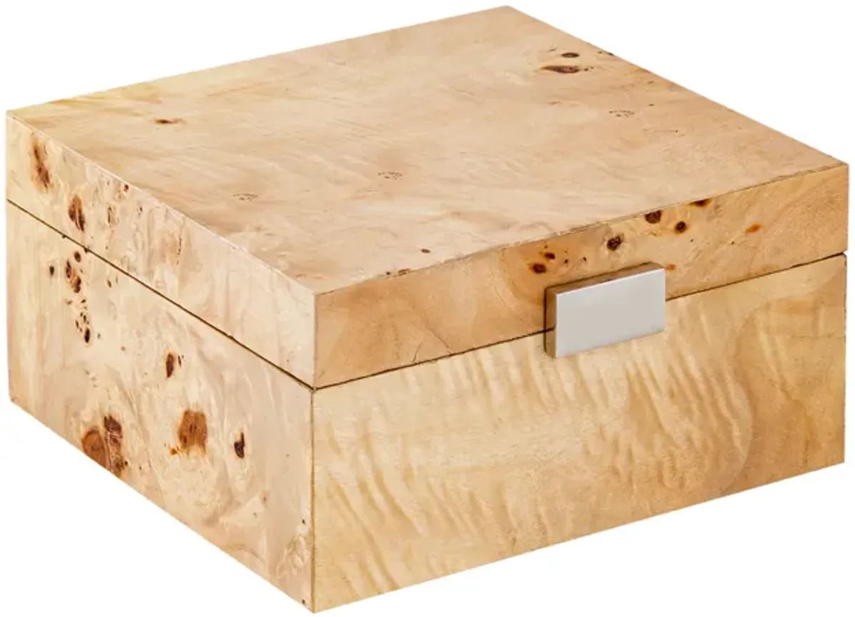 Caleb Box  -  Square Bleached Burl - Set of 2