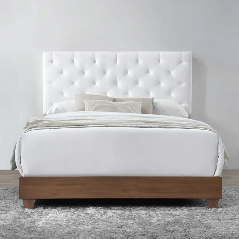 Rhiannon Diamond Tufted Upholstered Performance Velvet Queen Bed