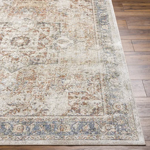 Lillian LLL-2317 2'2" x 3'9" Machine Woven Rug