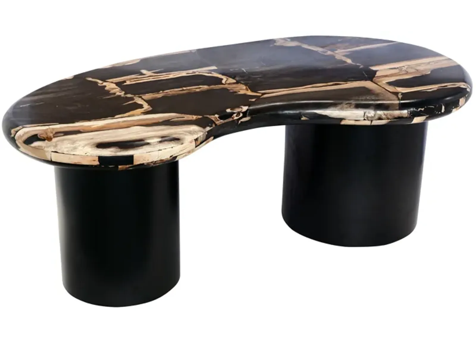 Petrified Wood, 51" Kidney Coffee Table, Black