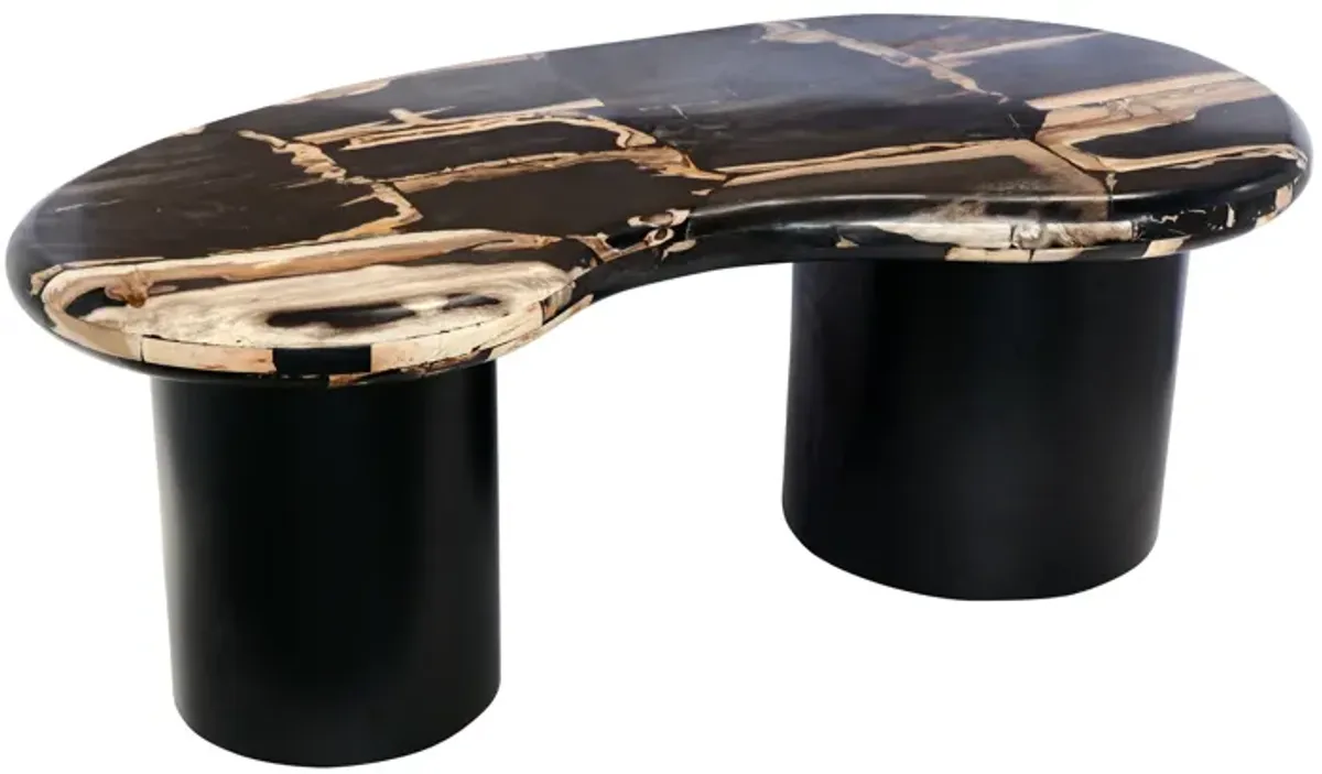 Petrified Wood, 51" Kidney Coffee Table, Black