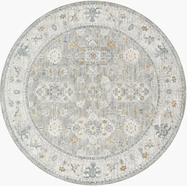 Dresden Dre-2324 7'10" X 7'10" Machine Woven Rug