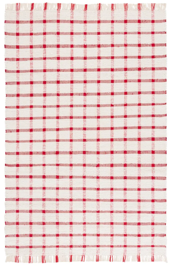 MONTAUK Hand Woven 4' x 6' area rug