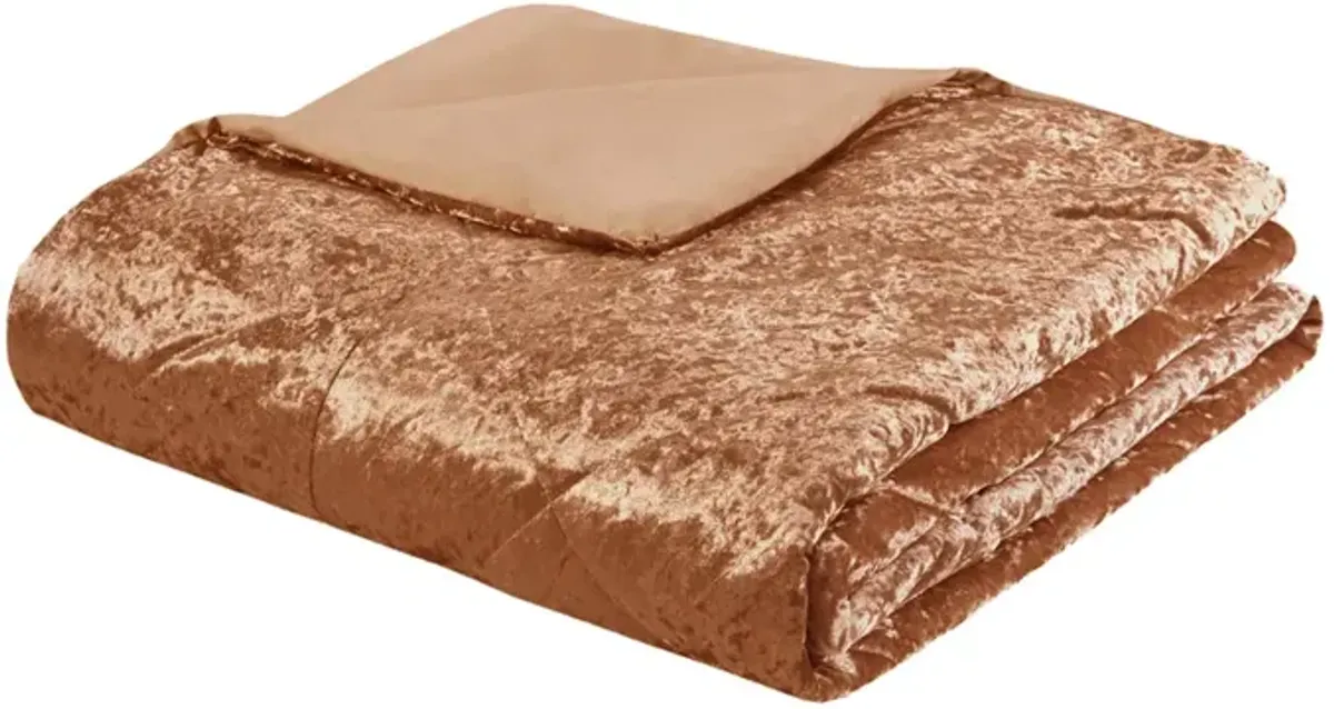 Velvet Duvet Cover Set with Throw Pillow