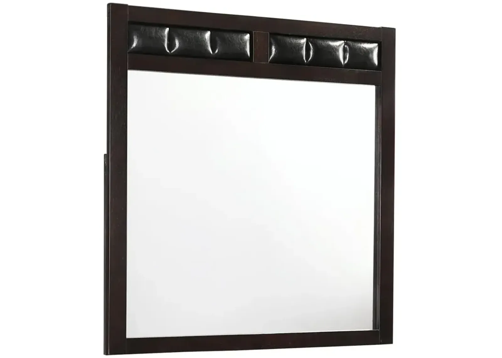 Carlton Upholstered Rectangular Dresser Mirror Cappuccino