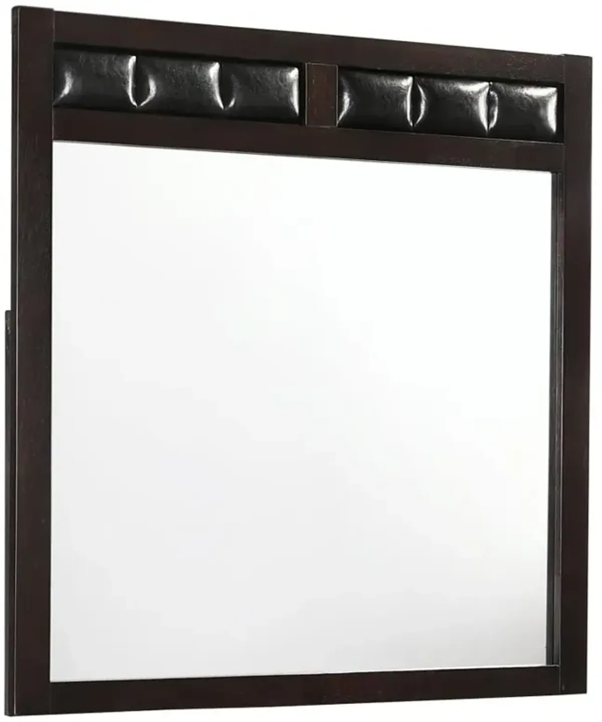 Carlton Upholstered Rectangular Dresser Mirror Cappuccino