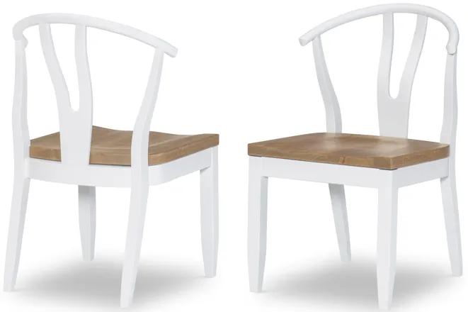 Franklin Side Chairs - Set of 2