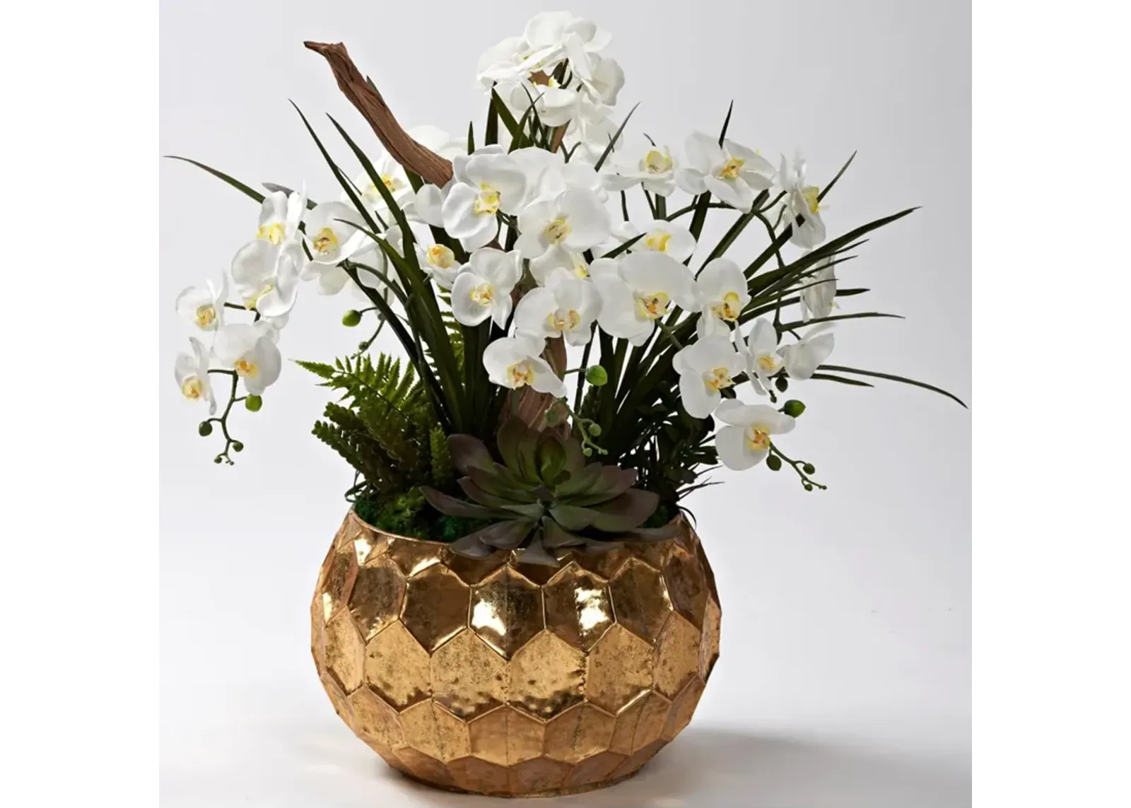 White Orchids, Ghostwood, And Assorted Succulents in Short Brushed Gold Geometric Planter