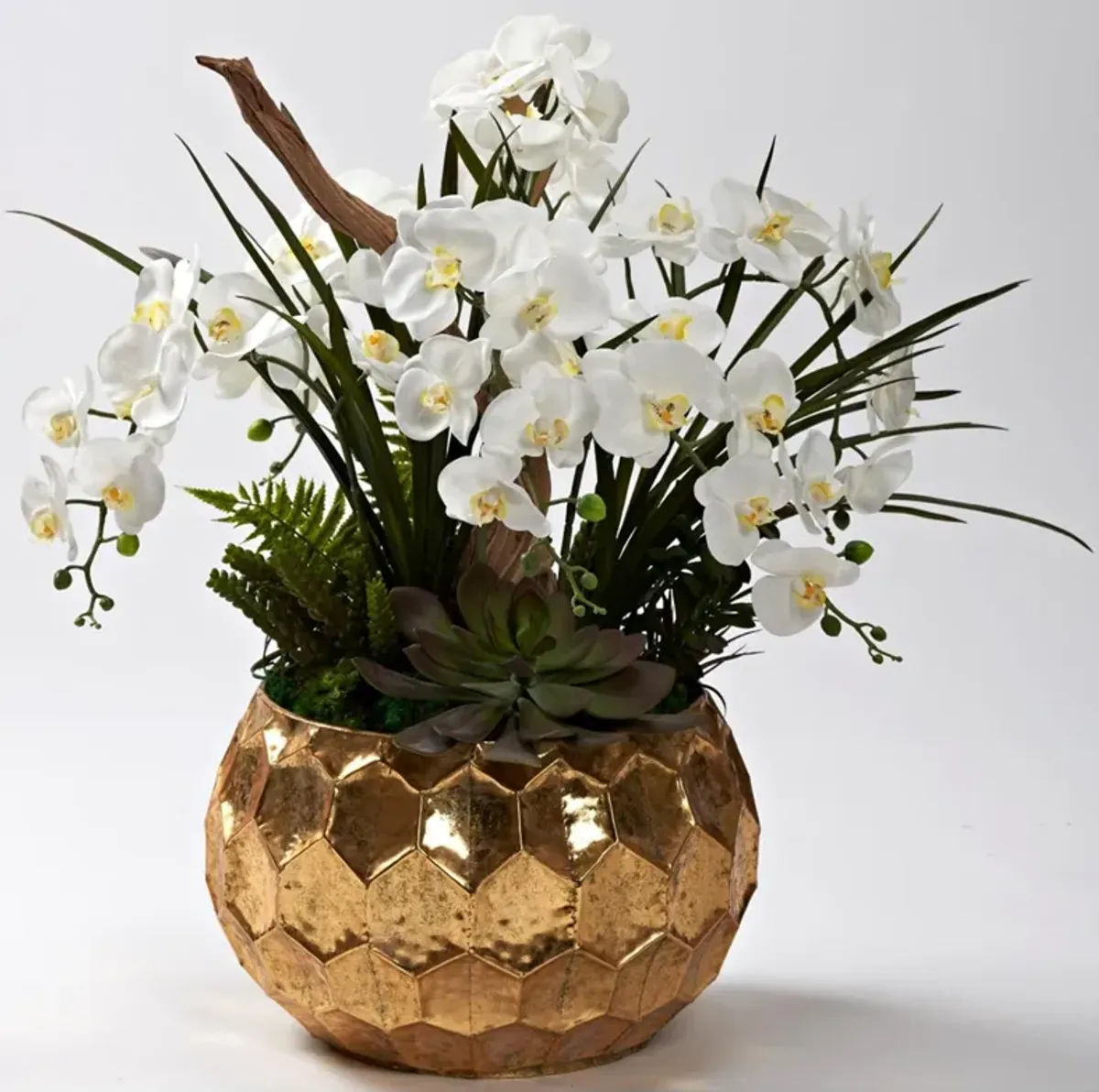 White Orchids, Ghostwood, And Assorted Succulents in Short Brushed Gold Geometric Planter