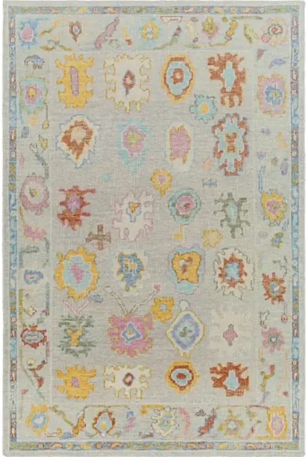 Kars 4' x 6' Rug