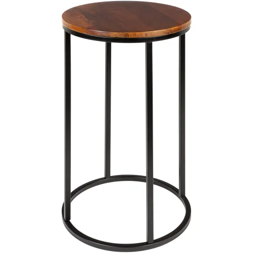 Aryaa YAA-014 24"H x 14"W x 14"D End Table