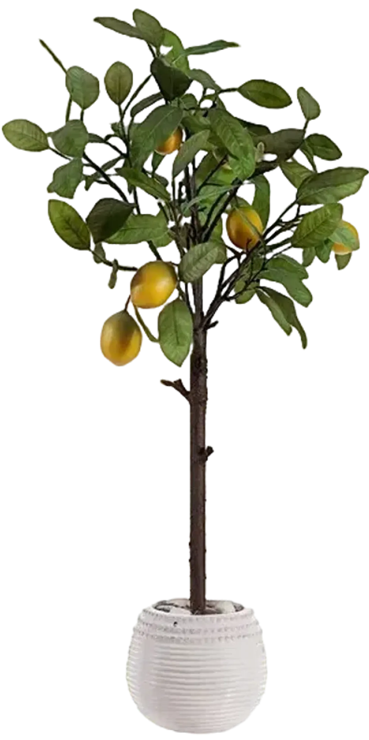 FAUX LEMON POTTED TREE