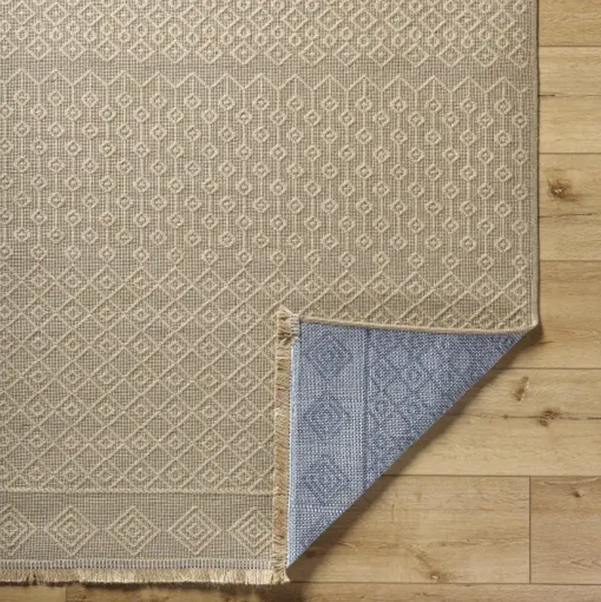 Mystery MYS-2303 27" x 45" Machine Woven Rug