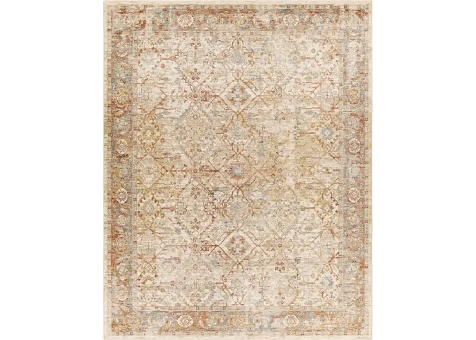 Aspendos APS-2317 2'7" x 10' Rug