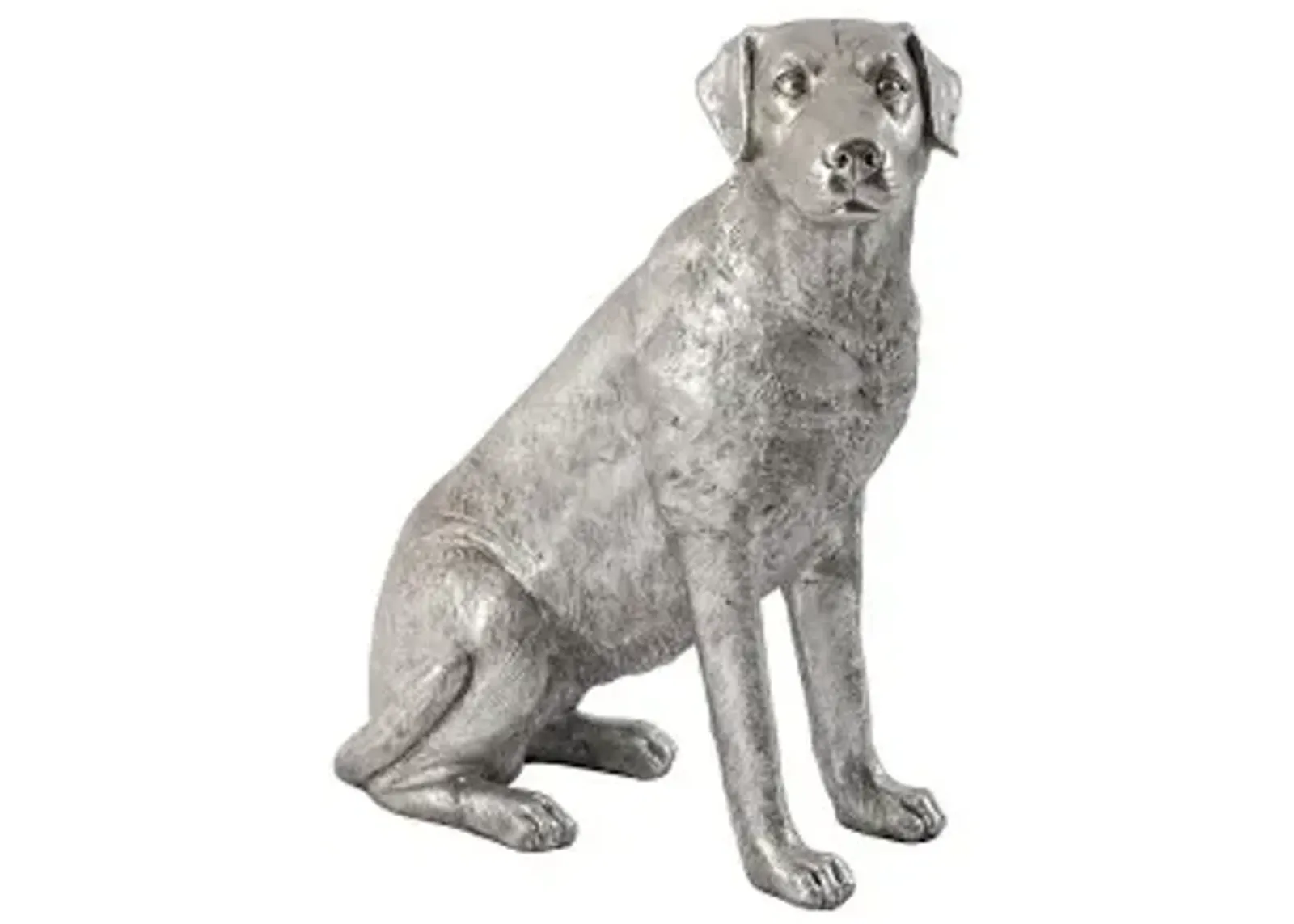 labrador dog, sitting, silver leaf