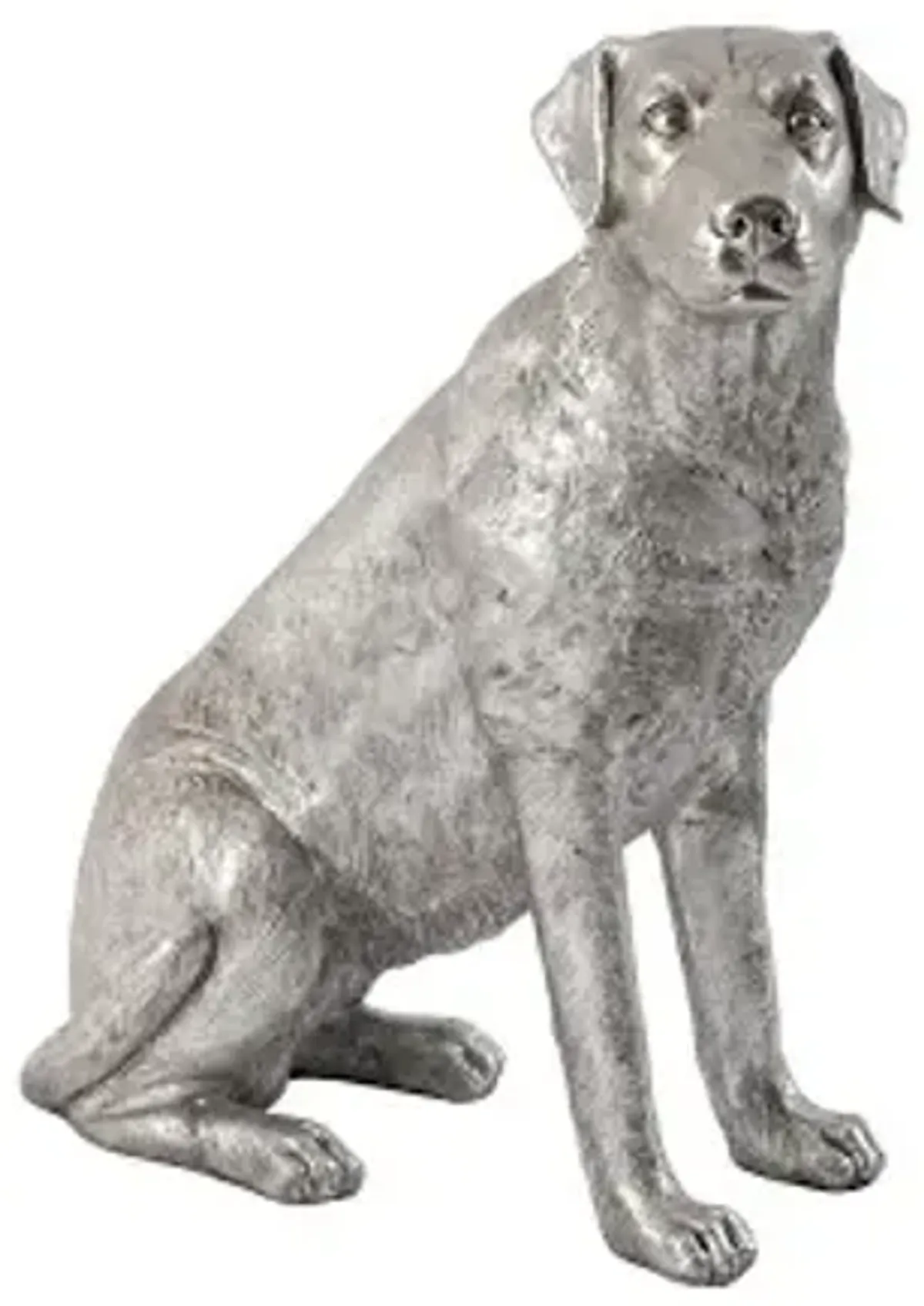 labrador dog, sitting, silver leaf