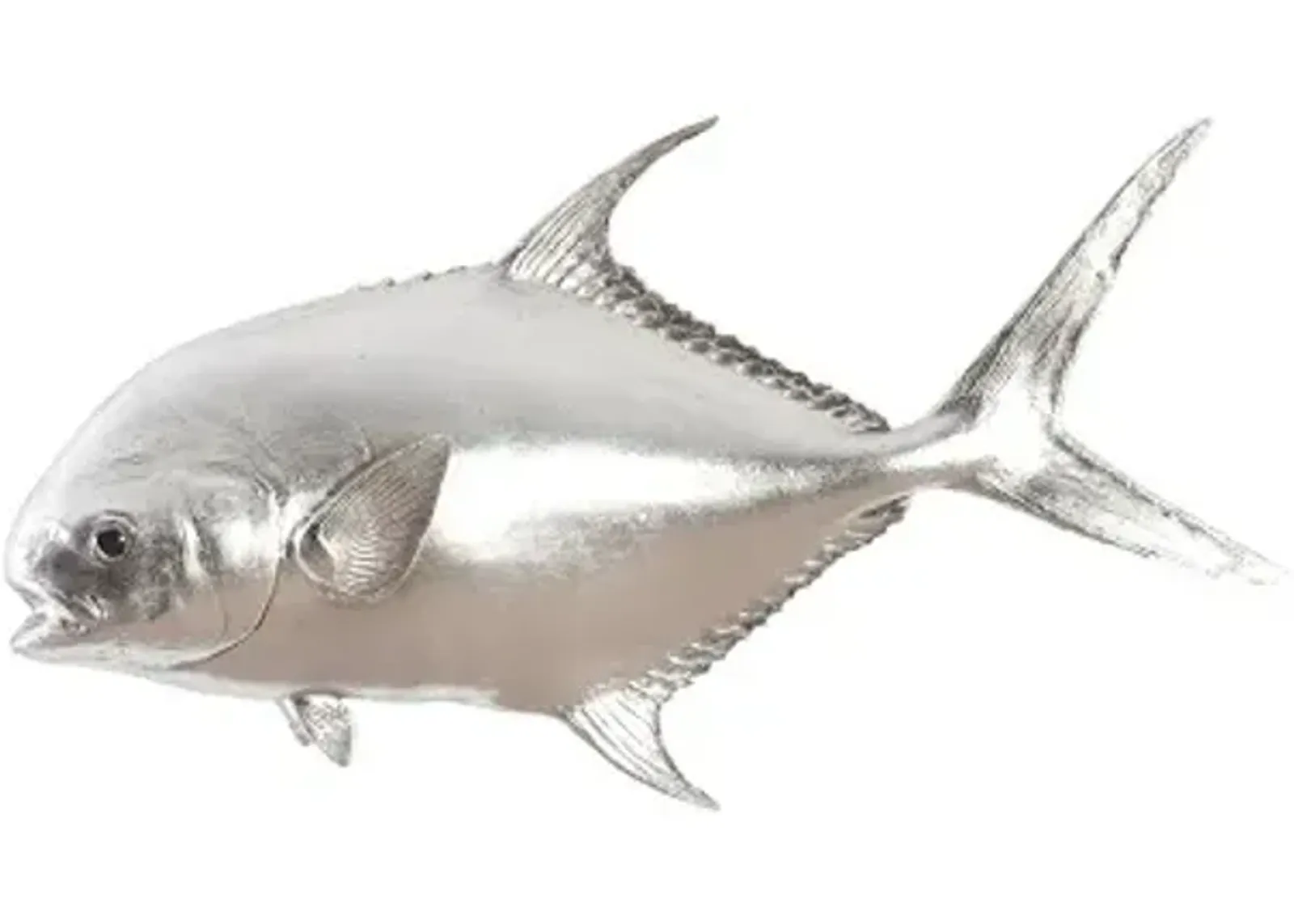 permit fish wall sculpture, resin, silver leaf