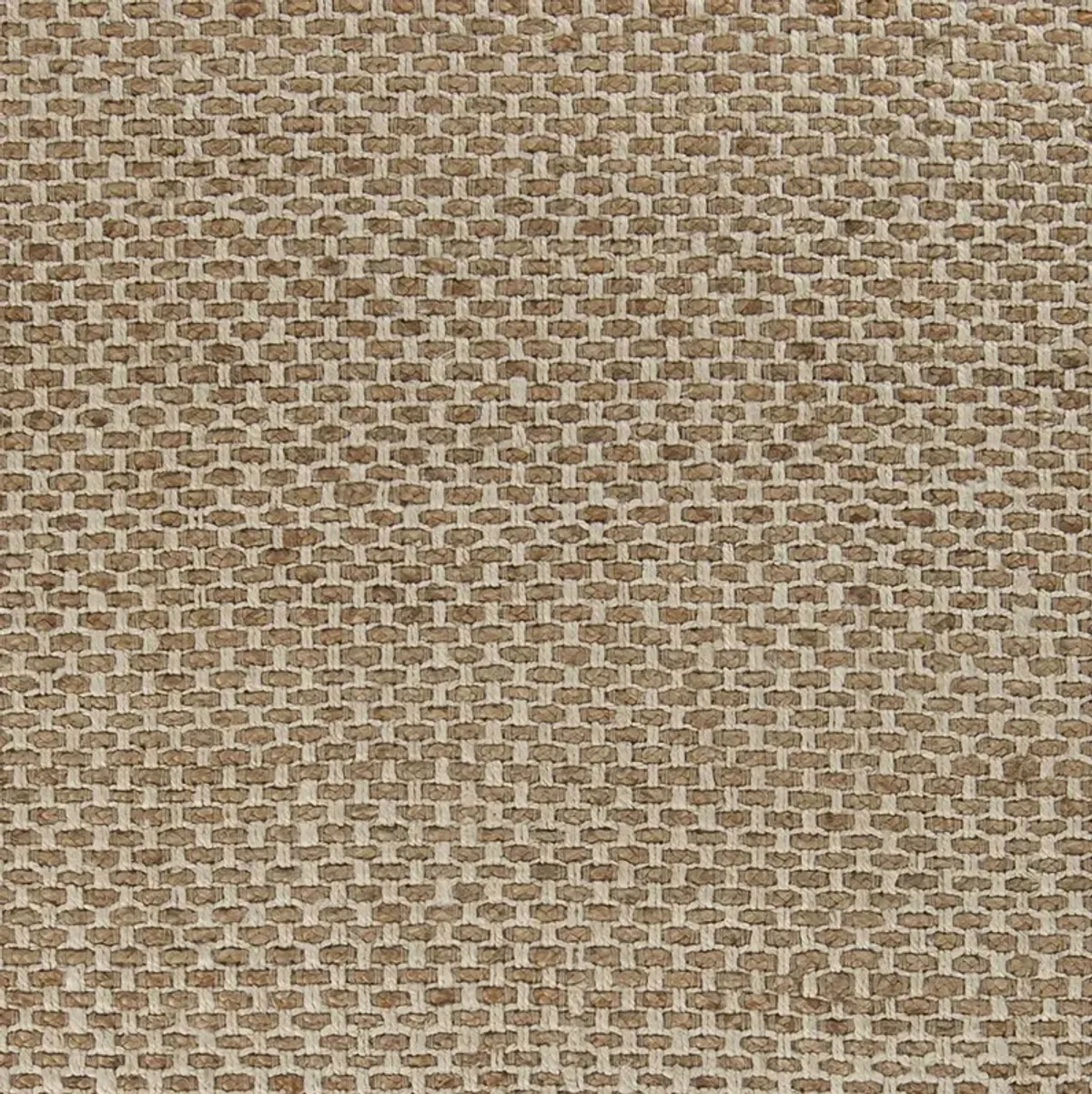 Reeds REED-824 3'3" x 5'3" Hand Made Rug