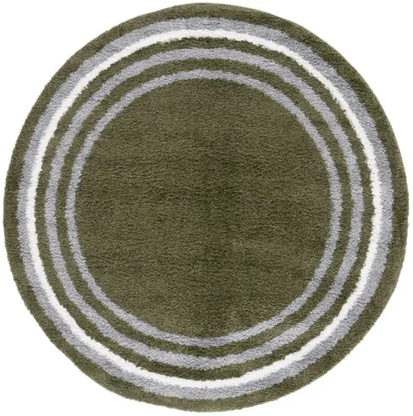 BORDER & STRIPE SHAG 251 Green 6'-7' X 6'-7' Round Round Rug
