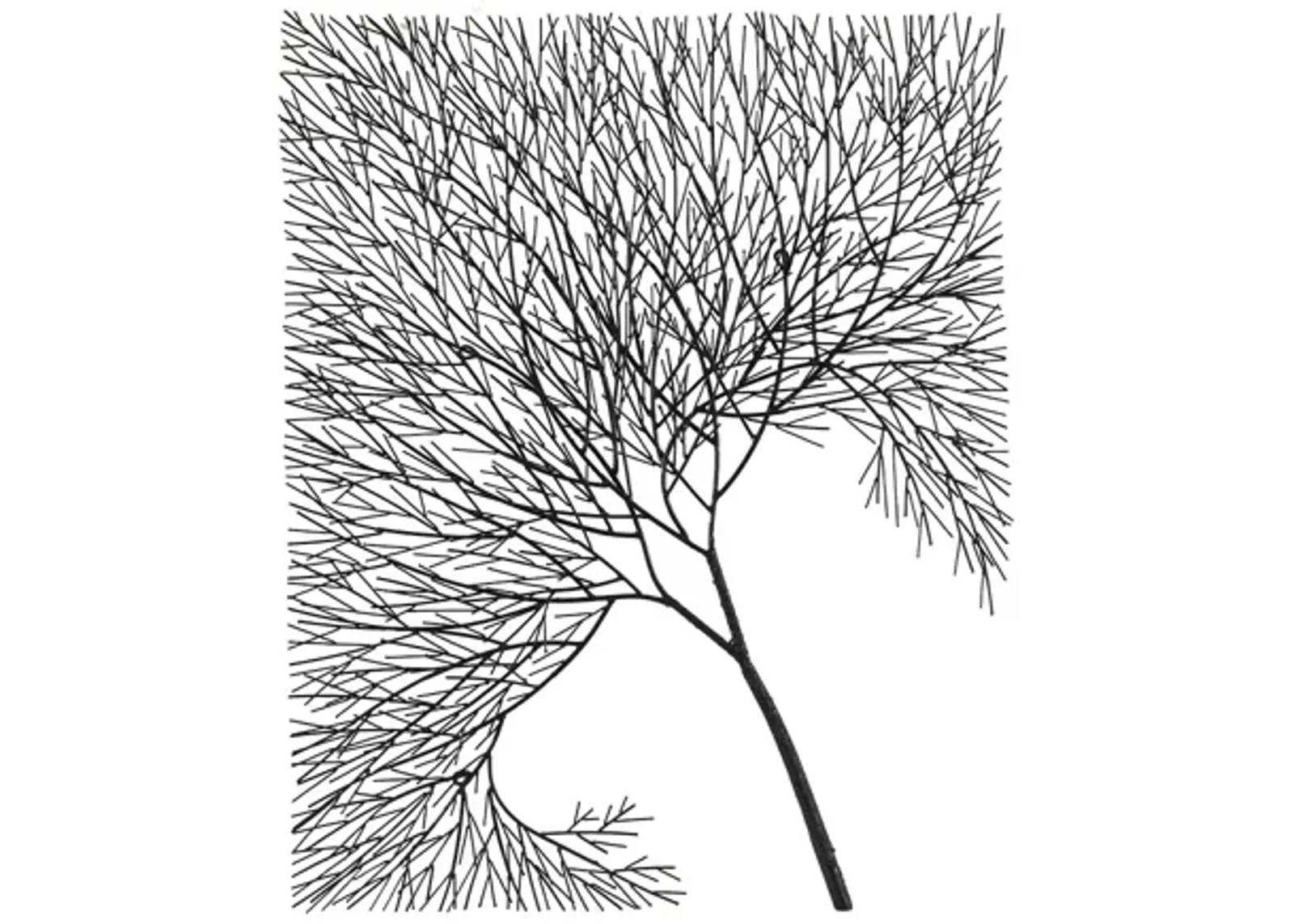 Wire Tree Wall Art, Rectangular, Metal, Black