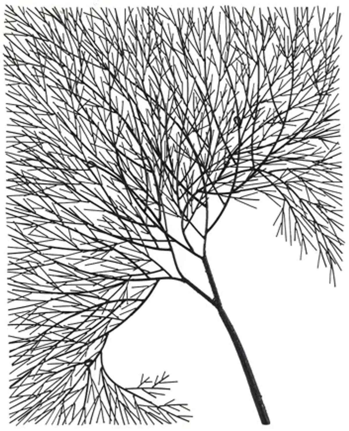 Wire Tree Wall Art, Rectangular, Metal, Black