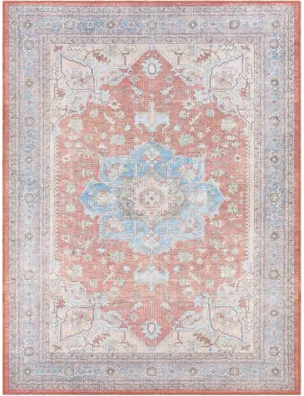 Alanya 5'3" x 7' Rug