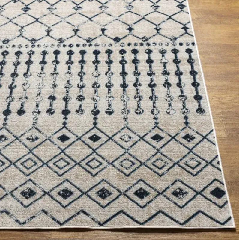 Lavadora 9'3" x 12' Rug