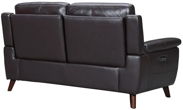 Lizette 65" Brown Leather Power Recliner Loveseat with USB