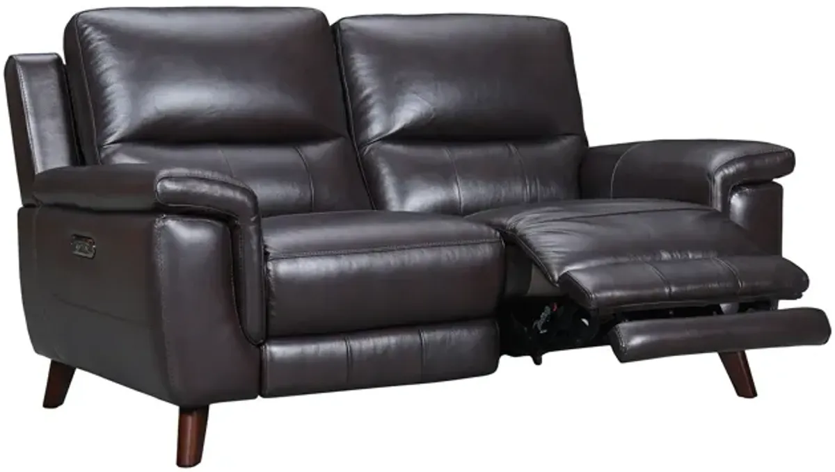 Lizette 65" Brown Leather Power Recliner Loveseat with USB