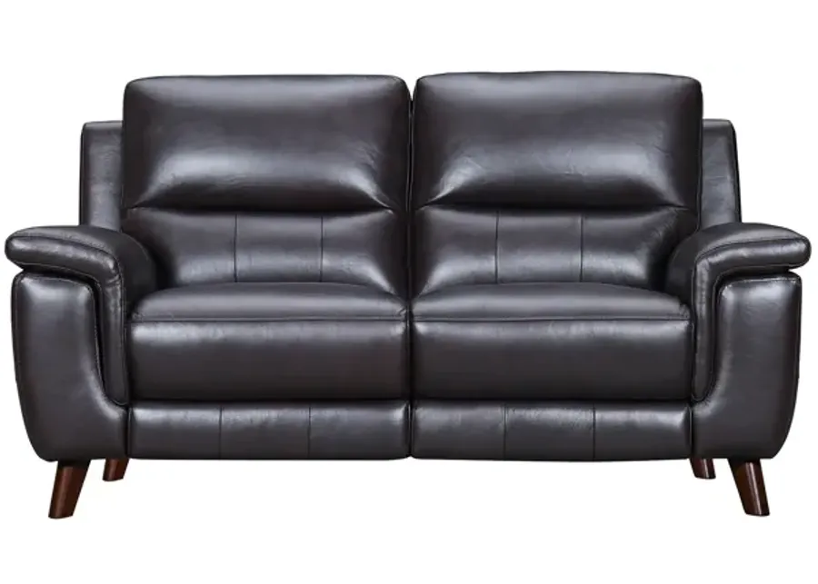 Lizette 65" Brown Leather Power Recliner Loveseat with USB