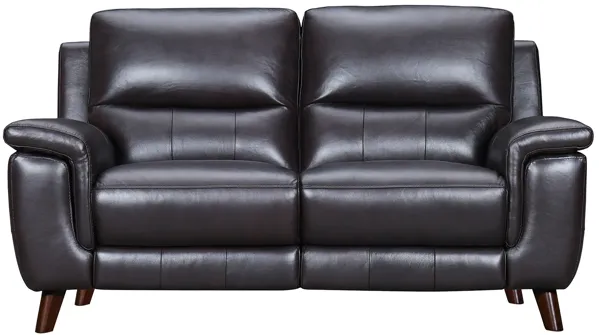 Lizette 65" Brown Leather Power Recliner Loveseat with USB