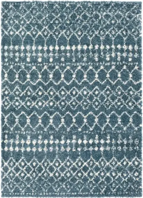 Maroc Shag 2' x 3' Rug